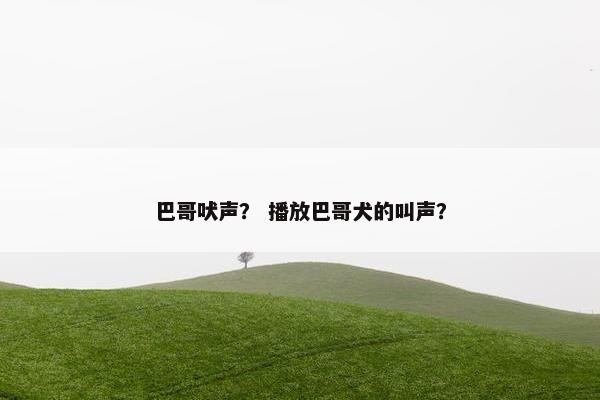 巴哥吠声？ 播放巴哥犬的叫声？
