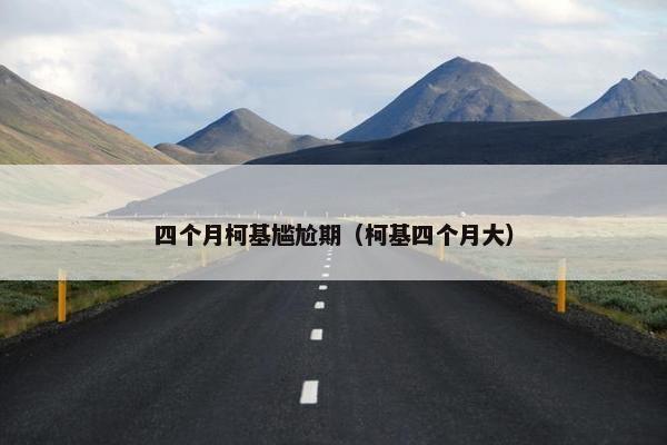 四个月柯基尴尬期（柯基四个月大）