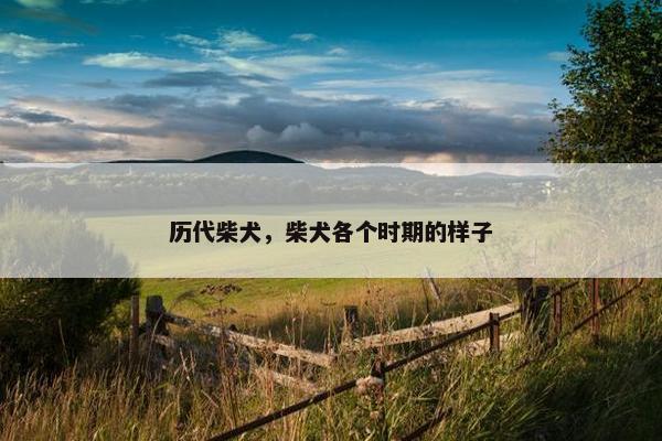 历代柴犬，柴犬各个时期的样子