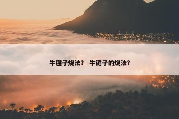 牛毽子烧法？ 牛键子的烧法？