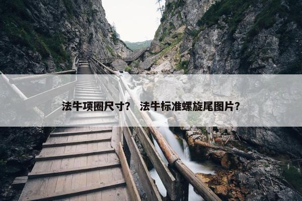 法牛项圈尺寸？ 法牛标准螺旋尾图片？
