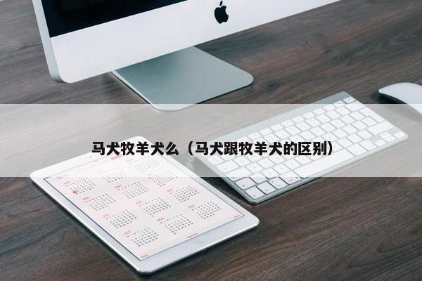马犬牧羊犬么（马犬跟牧羊犬的区别）
