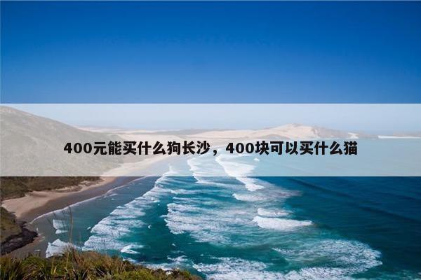 400元能买什么狗长沙，400块可以买什么猫