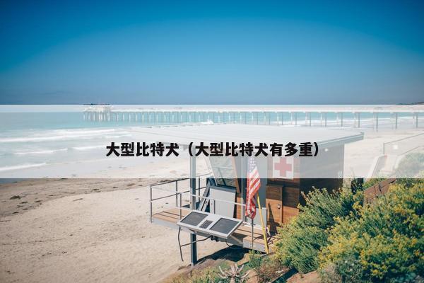 大型比特犬（大型比特犬有多重）
