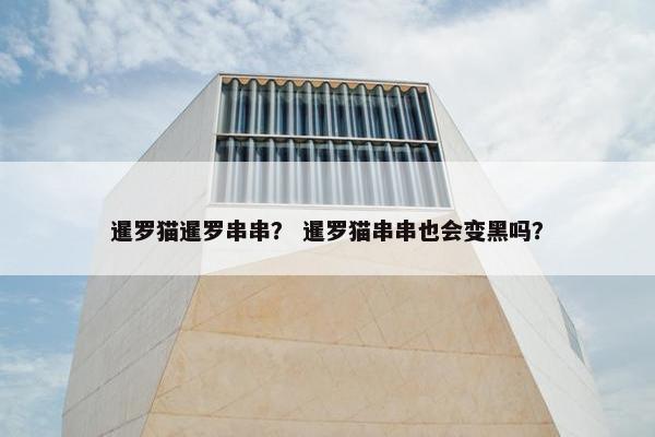 暹罗猫暹罗串串？ 暹罗猫串串也会变黑吗？