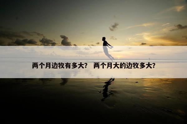 两个月边牧有多大？ 两个月大的边牧多大？