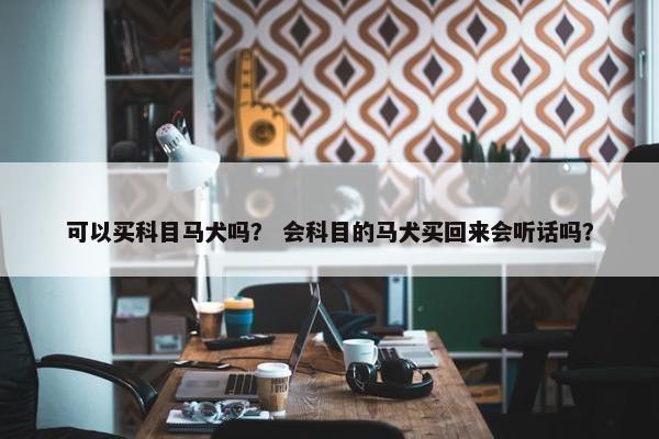 可以买科目马犬吗？ 会科目的马犬买回来会听话吗？