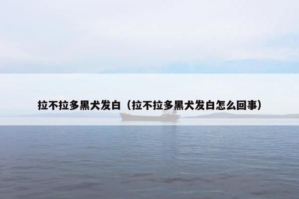 拉不拉多黑犬发白（拉不拉多黑犬发白怎么回事）