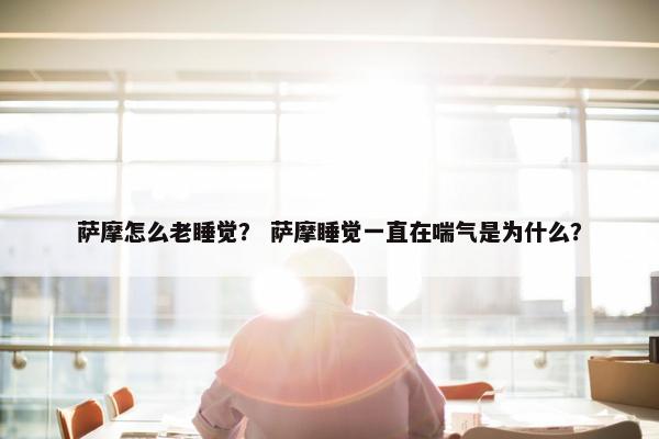 萨摩怎么老睡觉？ 萨摩睡觉一直在喘气是为什么？