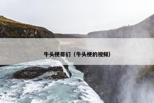 牛头梗哥们（牛头梗的视频）