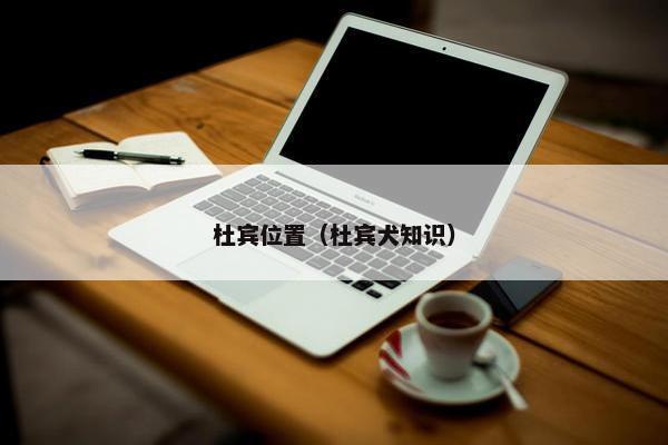 杜宾位置（杜宾犬知识）