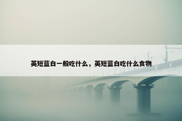英短蓝白一般吃什么，英短蓝白吃什么食物