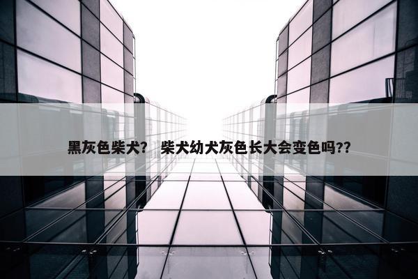 黑灰色柴犬？ 柴犬幼犬灰色长大会变色吗?？