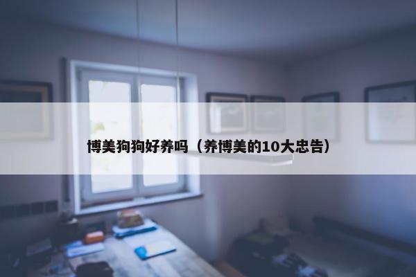 博美狗狗好养吗（养博美的10大忠告）