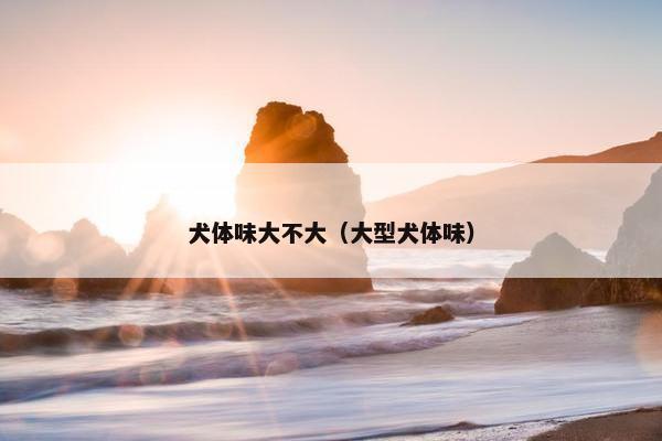 犬体味大不大（大型犬体味）