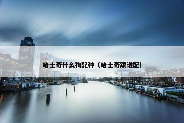 哈士奇什么狗配种（哈士奇跟谁配）