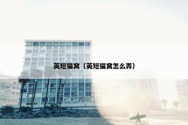 英短猫窝（英短猫窝怎么弄）