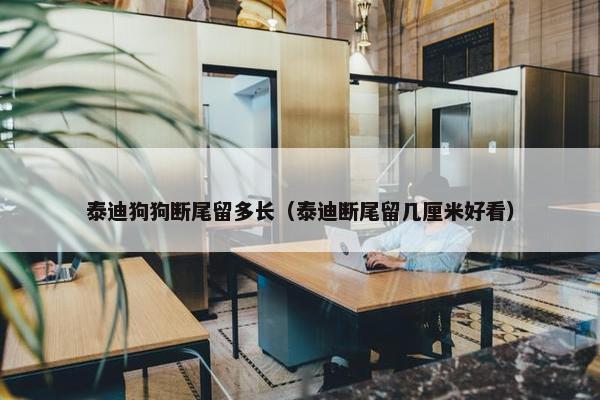 泰迪狗狗断尾留多长（泰迪断尾留几厘米好看）