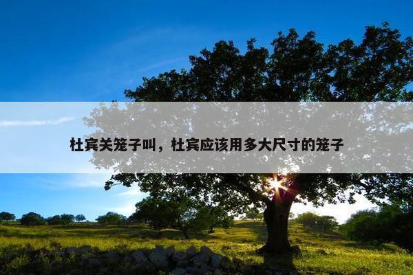 杜宾关笼子叫，杜宾应该用多大尺寸的笼子