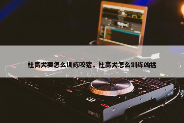杜高犬要怎么训练咬猪，杜高犬怎么训练凶猛