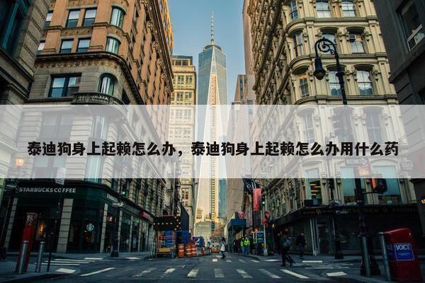 泰迪狗身上起赖怎么办，泰迪狗身上起赖怎么办用什么药