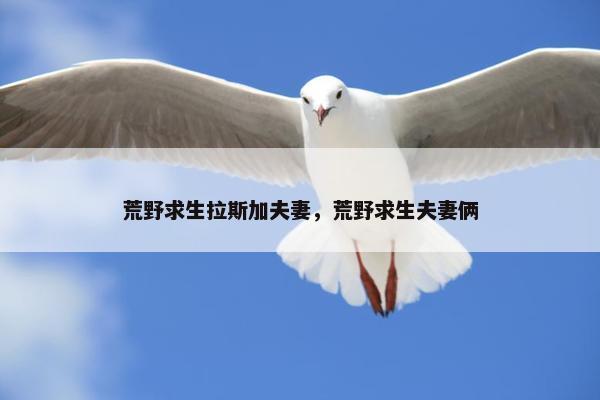 荒野求生拉斯加夫妻，荒野求生夫妻俩