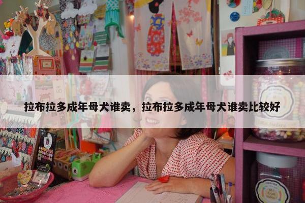 拉布拉多成年母犬谁卖，拉布拉多成年母犬谁卖比较好