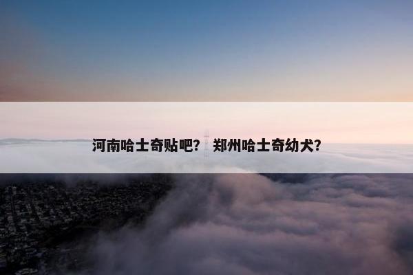 河南哈士奇贴吧？ 郑州哈士奇幼犬？