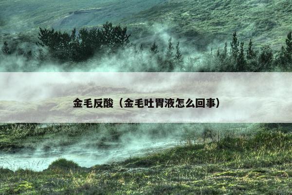 金毛反酸（金毛吐胃液怎么回事）