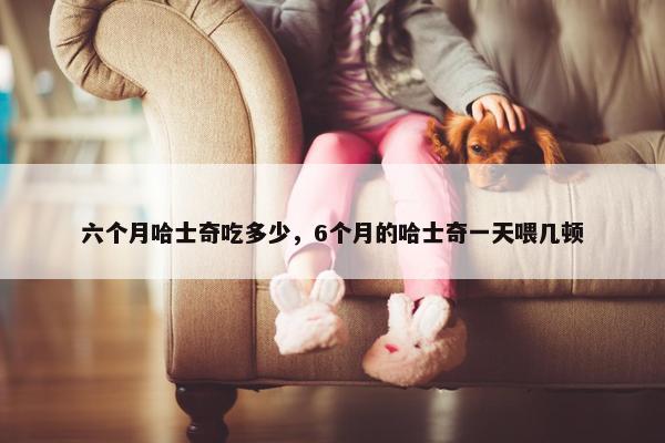 六个月哈士奇吃多少，6个月的哈士奇一天喂几顿
