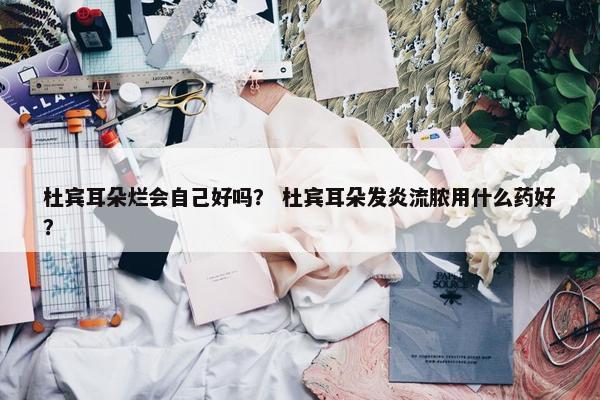 杜宾耳朵烂会自己好吗？ 杜宾耳朵发炎流脓用什么药好？
