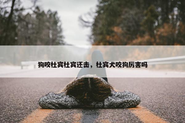 狗咬杜宾杜宾还击，杜宾犬咬狗厉害吗