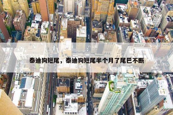 泰迪狗短尾，泰迪狗短尾半个月了尾巴不断