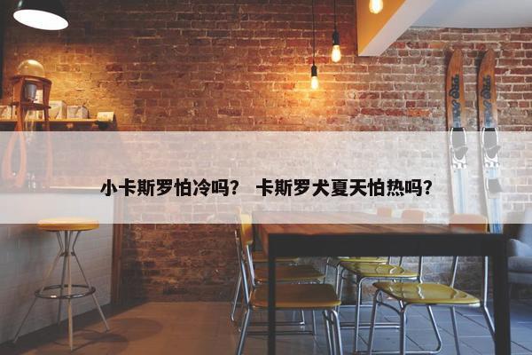 小卡斯罗怕冷吗？ 卡斯罗犬夏天怕热吗？