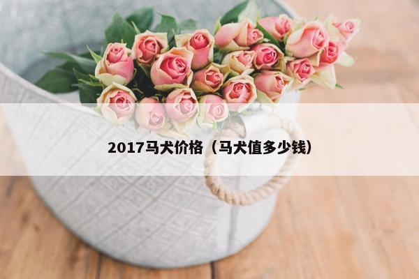 2017马犬价格（马犬值多少钱）