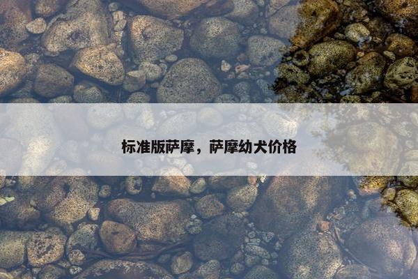 标准版萨摩，萨摩幼犬价格
