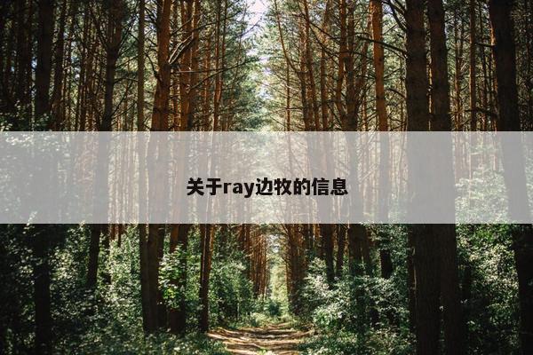 关于ray边牧的信息