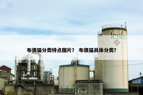 布偶猫分类特点图片？ 布偶猫具体分类？