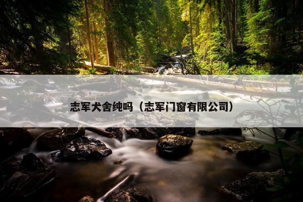 志军犬舍纯吗（志军门窗有限公司）