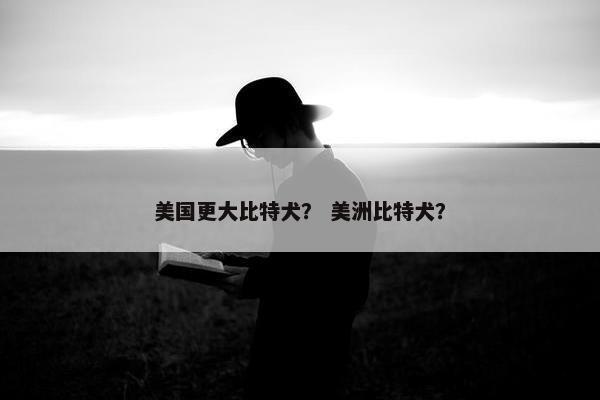 美国更大比特犬？ 美洲比特犬？