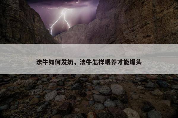 法牛如何发奶，法牛怎样喂养才能爆头