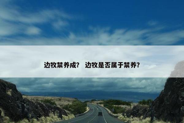 边牧禁养成？ 边牧是否属于禁养？