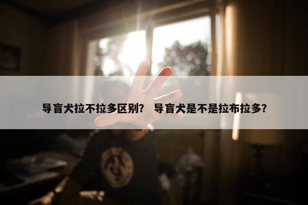 导盲犬拉不拉多区别？ 导盲犬是不是拉布拉多？