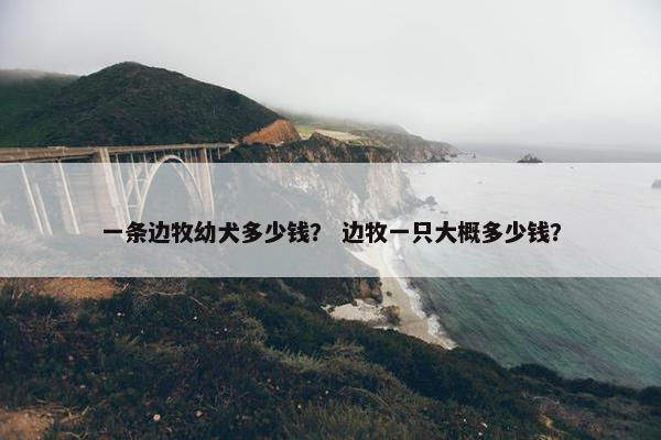 一条边牧幼犬多少钱？ 边牧一只大概多少钱？