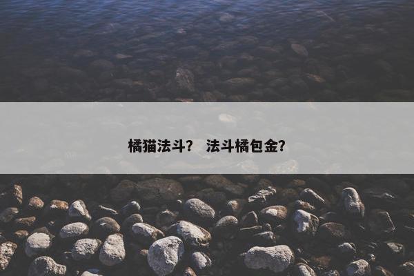 橘猫法斗？ 法斗橘包金？