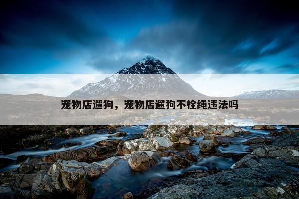 宠物店遛狗，宠物店遛狗不栓绳违法吗