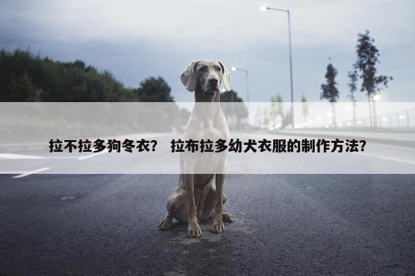 拉不拉多狗冬衣？ 拉布拉多幼犬衣服的制作方法？