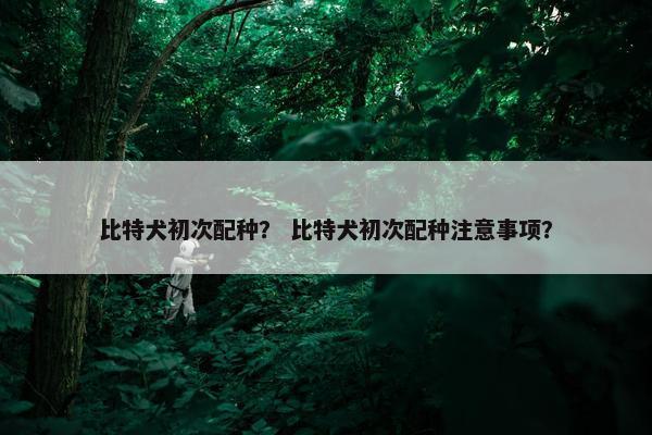 比特犬初次配种？ 比特犬初次配种注意事项？