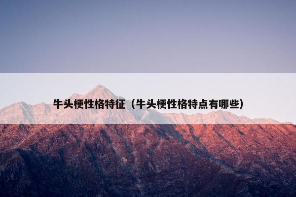 牛头梗性格特征（牛头梗性格特点有哪些）