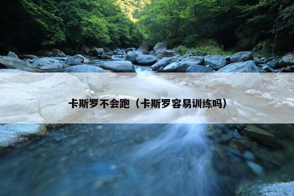 卡斯罗不会跑（卡斯罗容易训练吗）